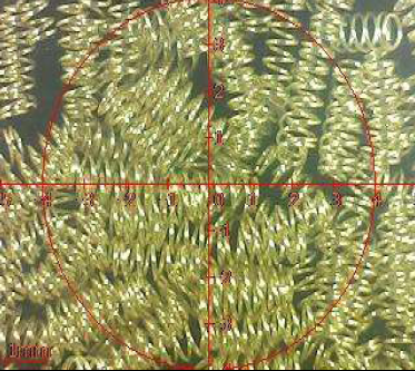 ROHS বসন্ত কলাই পণ্য Pogo পিন পরীক্ষার রিপোর্ট